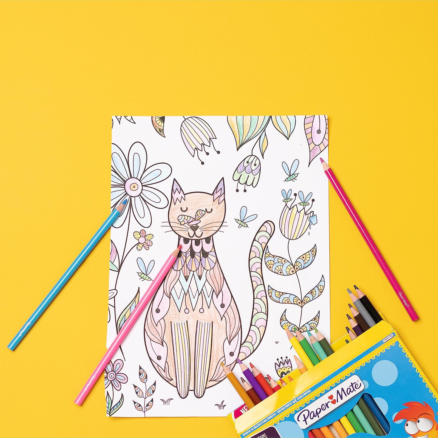 Paper Mate Children's Colouring Pencils | Pre-Sharpened Coloured Pencils | Assorted Colours | 12 Count